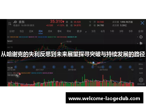 从哈谢克的失利反思到未来展望探寻突破与持续发展的路径