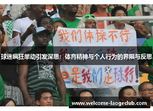 球迷疯狂举动引发深思：体育精神与个人行为的界限与反思