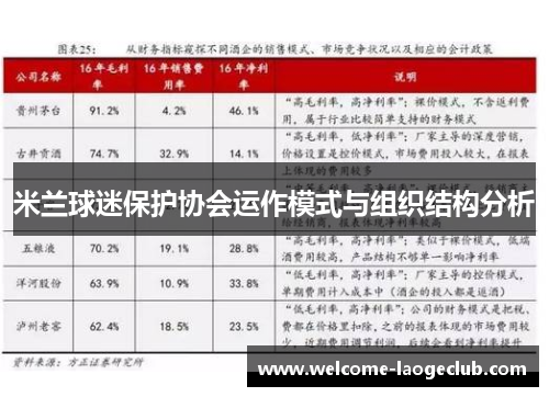 米兰球迷保护协会运作模式与组织结构分析