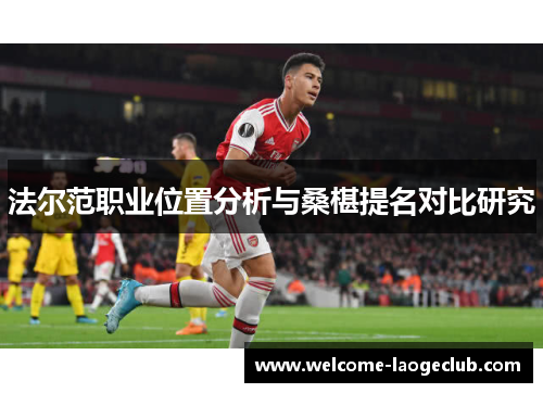 法尔范职业位置分析与桑椹提名对比研究