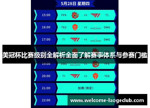 美冠杯比赛级别全解析全面了解赛事体系与参赛门槛