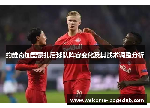 约维奇加盟蒙扎后球队阵容变化及其战术调整分析